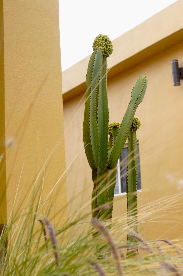 Cozy & Quiet Pet Friendly Studio Ensenada Zewnętrze zdjęcie